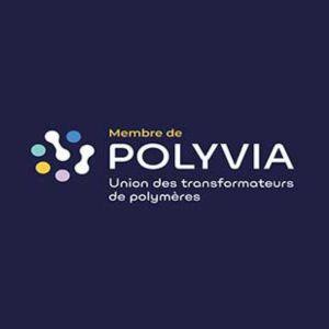 LOGO-POLYVIA-PICT