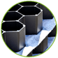 PROCAP-PICT-ZOOM1